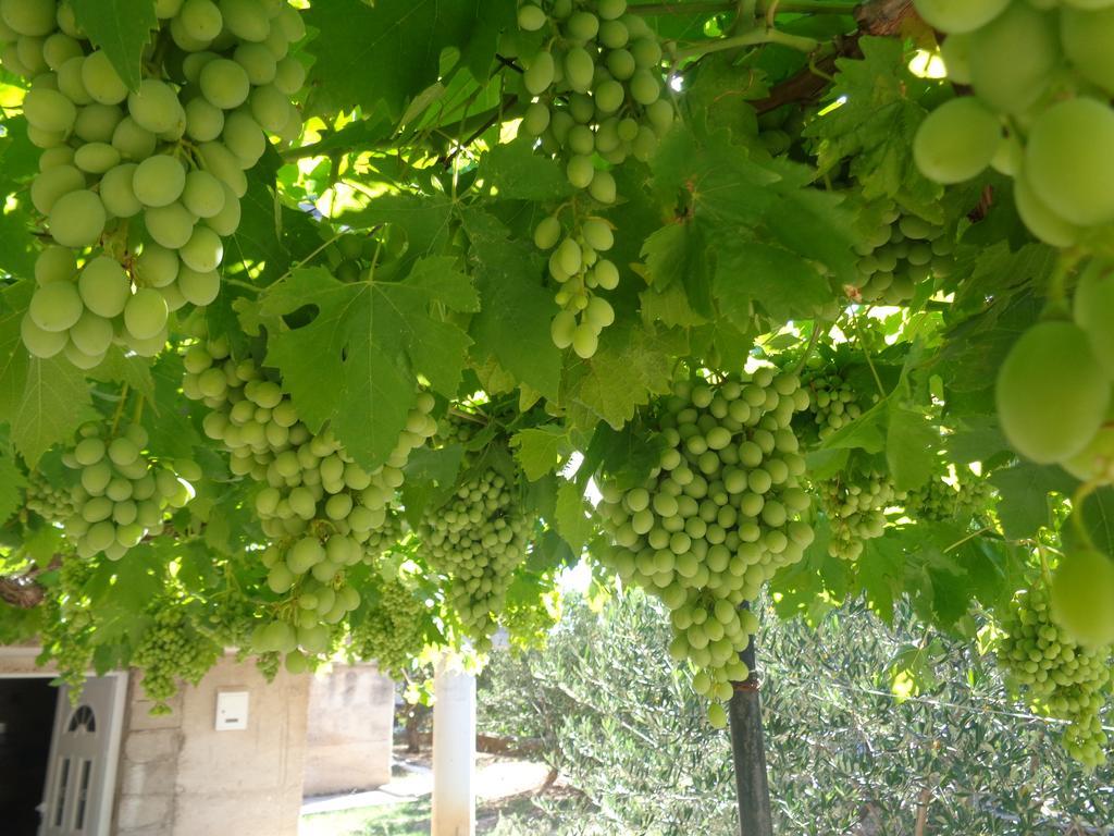 דראגה Apartments Davor מראה חיצוני תמונה
